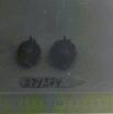 Click for 1 image(s) for this accession. FRUIT